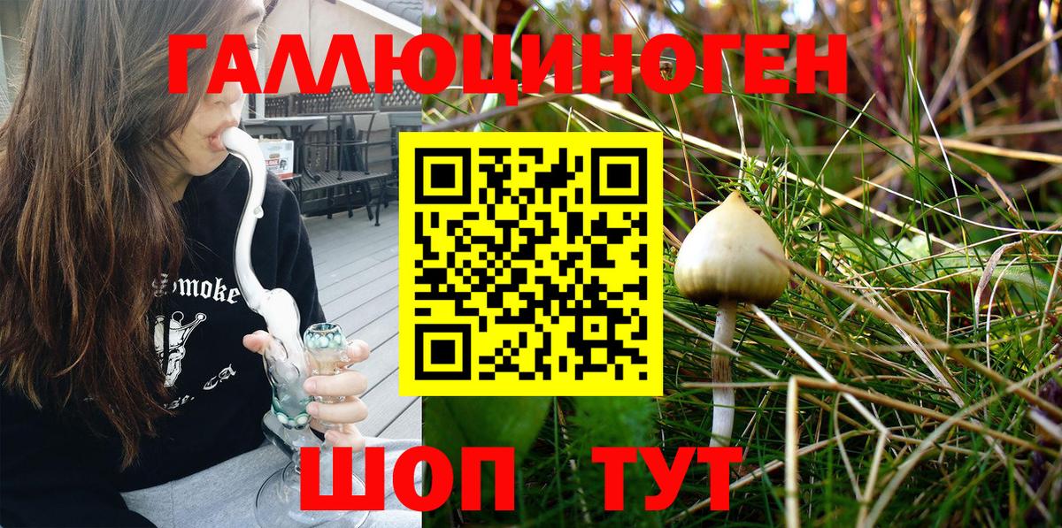 где купить   Псилоцибиновые грибы Psilocybine cubensis  Вход с VPN  Саров 